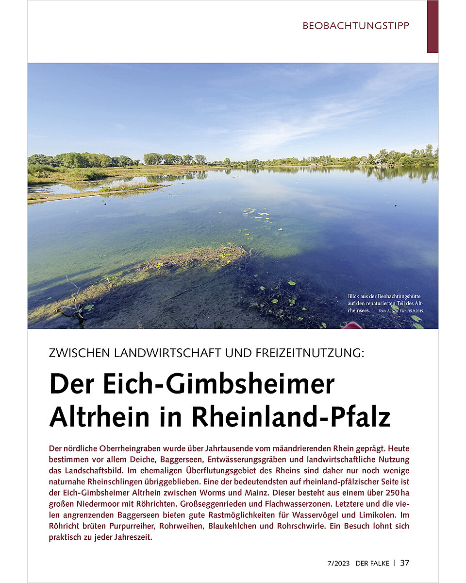 ZWISCHEN LANDWIRTSCHAFT UND FREIZEITNUTZUNG DER EICH-GIMBS HEIMER ALTRHEIN IN RHEINLAND