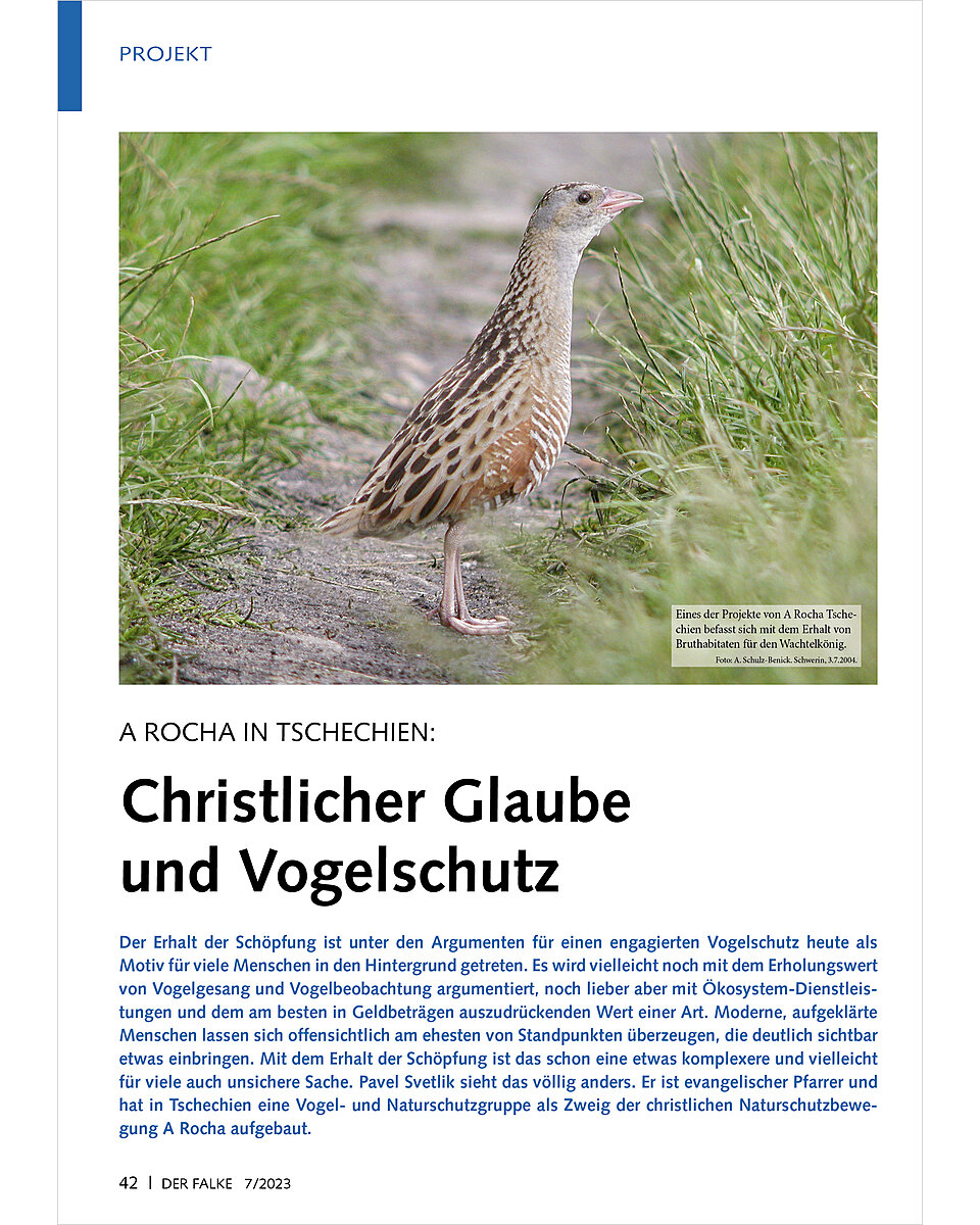 A ROCHA IN TSCHECHIEN: CHRIST LICHER GLAUBE UND VOGELSCHUTZ