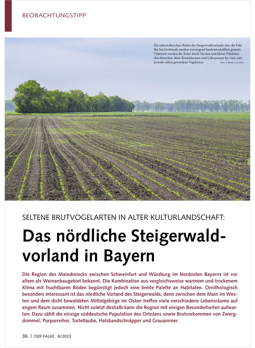 SELTENE BRUTVOGELARTEN IN ALTE R KULTURLANDSCHAFT DAS NRDLIC HE STEIGERWALDVORLAND IN BAYER