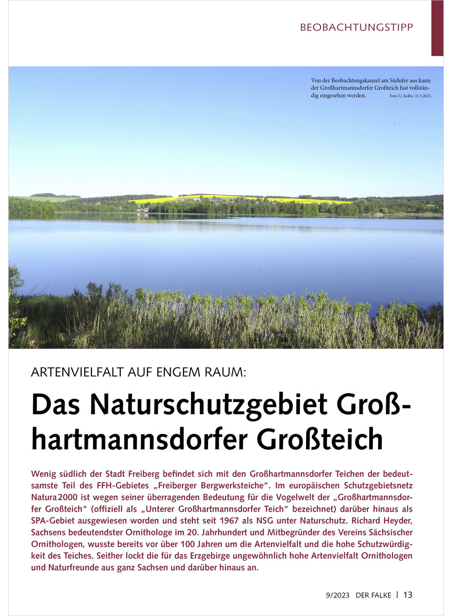 ARTENVIELFALT AUF ENGEM RAUM DAS NATURSCHUTZGEBIET GROSS HARTMANNSDORFER GROSSTEICH