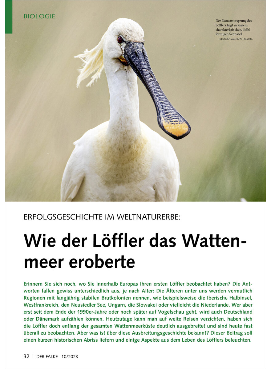 ERFOLGSGESCHICHTE IM WELTNATUR ERBE WIE DER LFFLER DAS WATTE NMEER EROBERTE