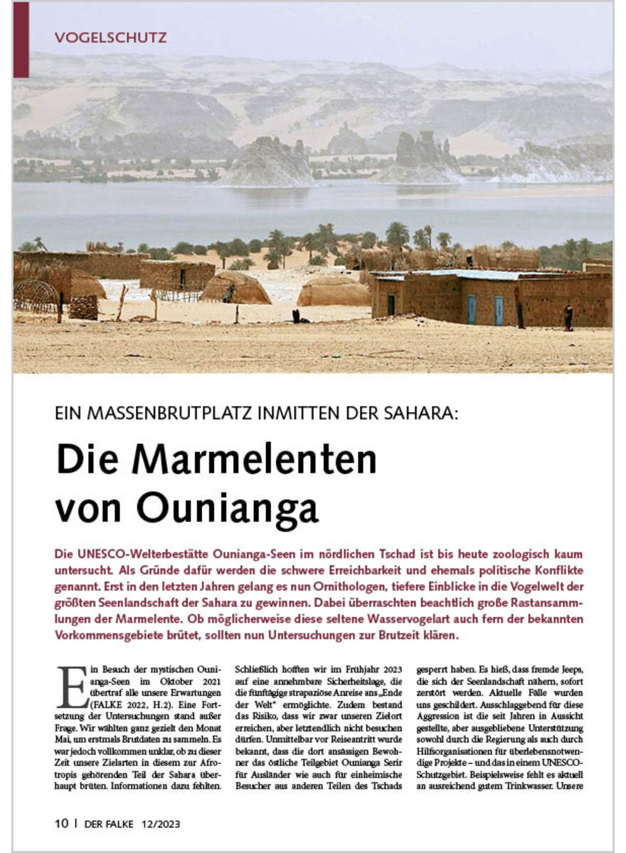 Auf diesem Bild sehen Sie das Produktbild 1 fr EIN MASSENBRUTPLATZ INMITTEN DER SAHARA DIE MARMELENTEN VON OUNIANGA