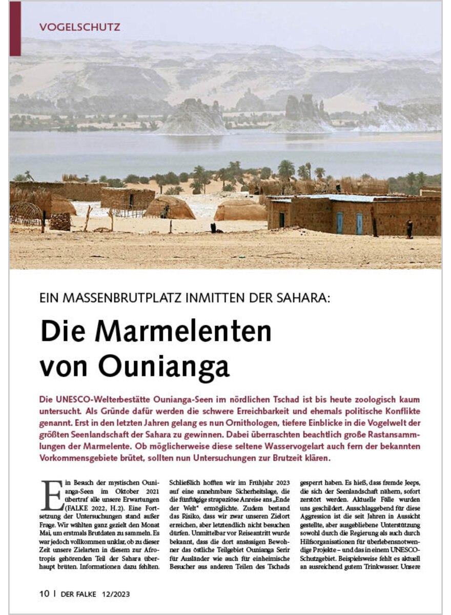 EIN MASSENBRUTPLATZ INMITTEN DER SAHARA DIE MARMELENTEN VON OUNIANGA