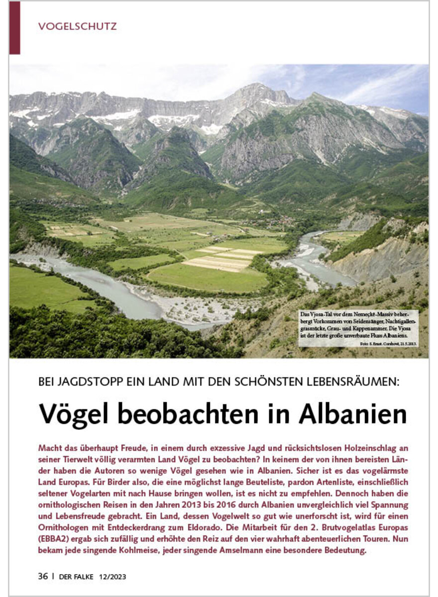 BEI JAGDSTOPP EIN LAND MIT DEN SCHNSTEN LEBENSRUMEN VGEL BEOBACHTEN IN ALBANIEN