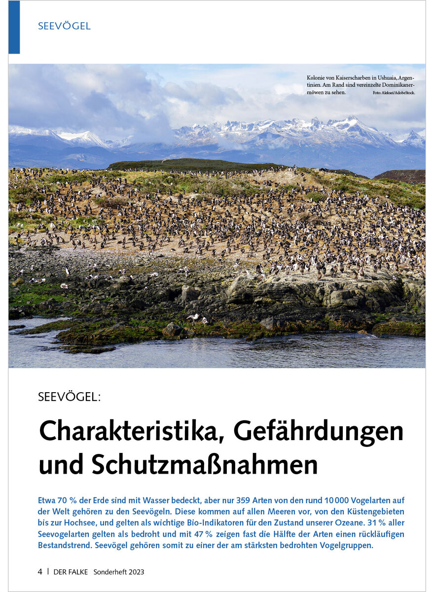 Auf diesem Bild sehen Sie das Produktbild 1 fr SEEVGEL CHARAKTERISTIKA, GEFHRDUNGEN UND SCHUTZMASS NAHMEN