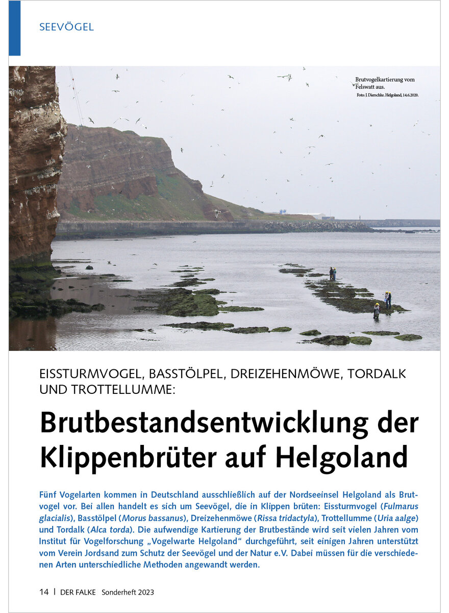 EISSTURMVOGEL, BASSTLPEL, BRUTBESTANDSENTWICKLUNG DER KLIPPENBRTER AUF HELGOLAND