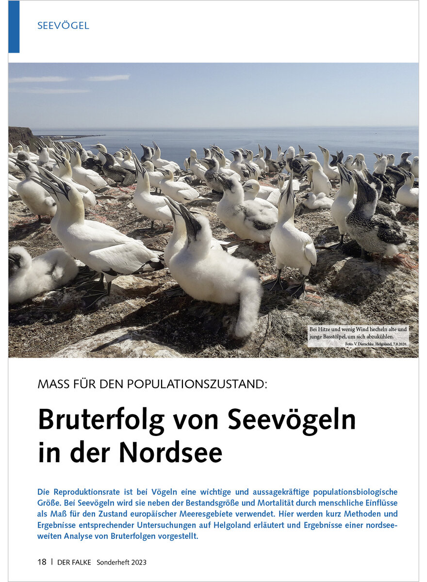 MASS FR DEN POPULATIONSZUSTAN D BRUTERFOLG VON SEEVGELN IN DER NORDSEE