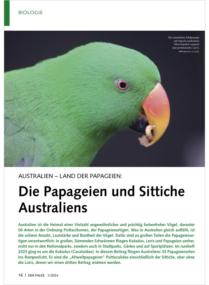 Auf diesem Bild sehen Sie das Produktbild 1 fr AUSTRALIEN LAND DER PAPAGEIEN DIE PAPAGEIEN UND SITTICHE AUSTRALIEN