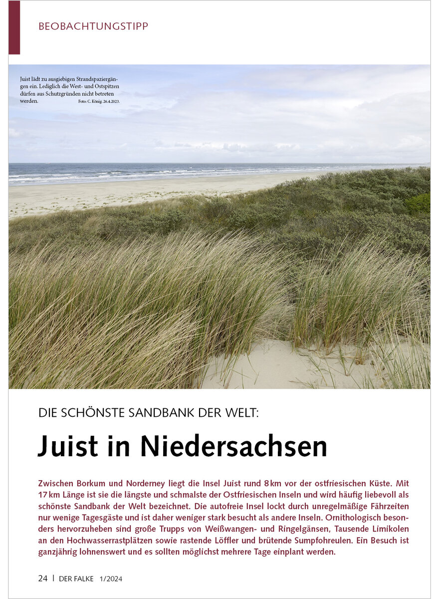 DIE SCHNSTE SANDBANK DER WELT JUIST IN NIEDERSACHSEN