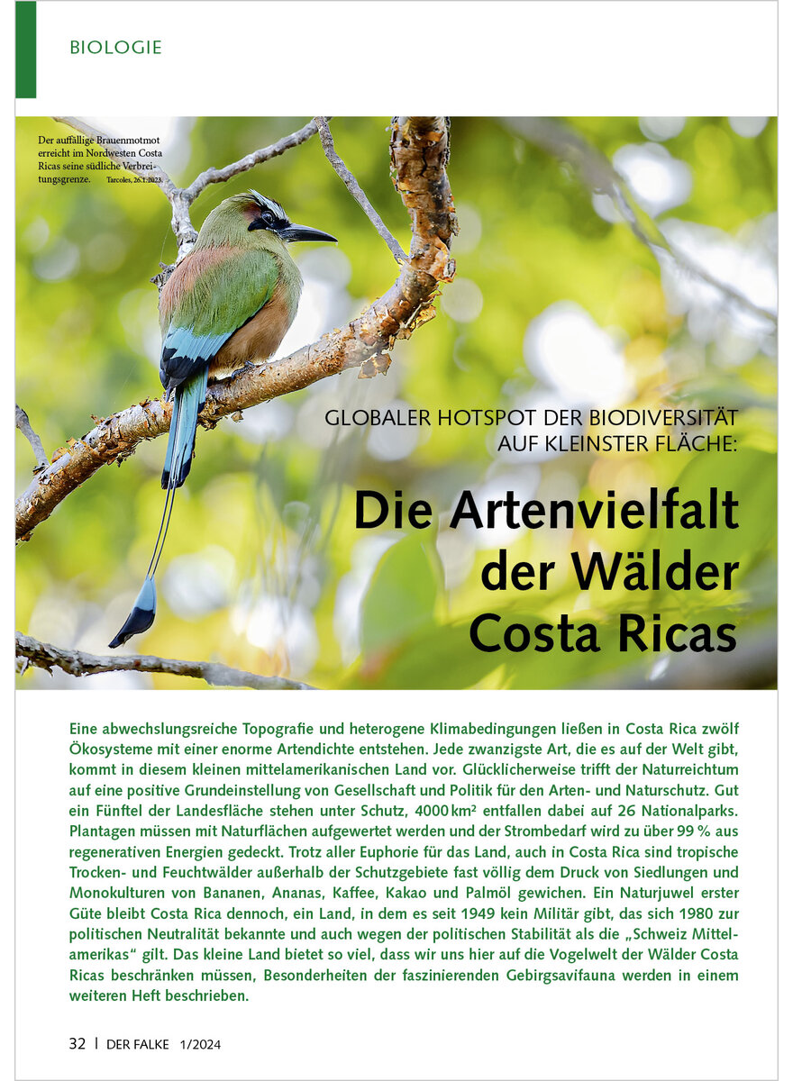 Auf diesem Bild sehen Sie das Produktbild 1 fr GLOBALER HOTSPOT DER BIODIVER SITT DIE ARTENVIELFALT DER WLDER COSTA RICAS