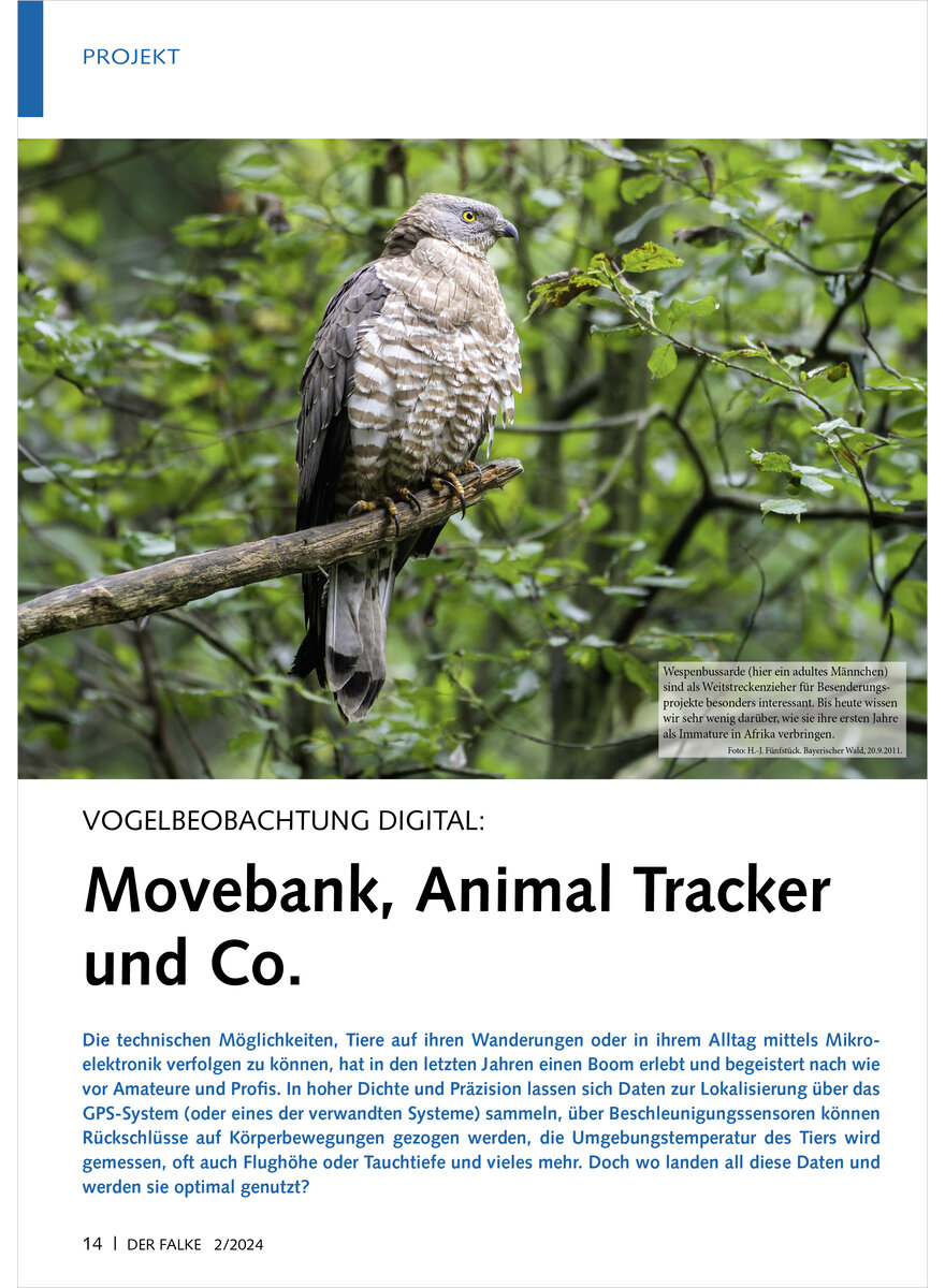 VOGELBEOBACHTUNG DIGITAL MOVE BANK, ANIMAL TRACKER UND CO.