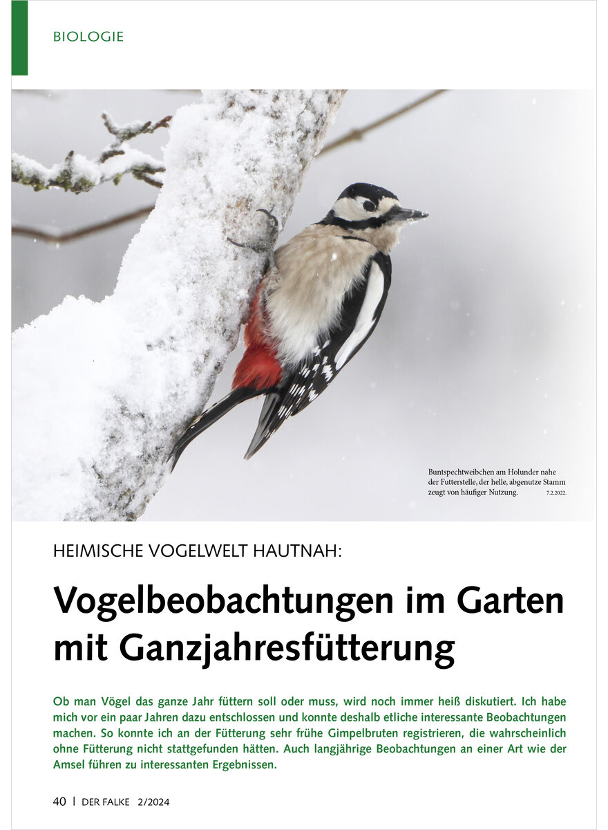 HEIMISCHE VOGELWELT HAUTNAH VOGELBEOBACHTUNGEN IM GARTEN MIT GANZJAHRESFTTERUNG