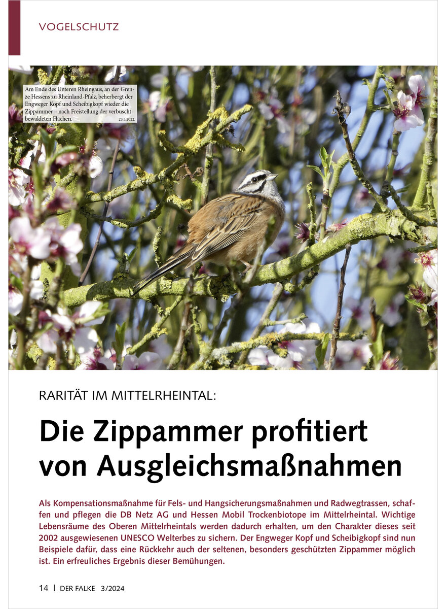 Auf diesem Bild sehen Sie das Produktbild 1 fr RARITT IM MITTELRHEINTAL DIE ZIPPAMMER PROFITIERT VON AUS GLEICHSMASSNAHMEN