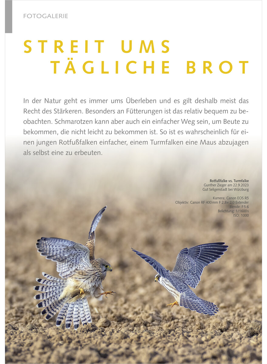 Auf diesem Bild sehen Sie das Produktbild 1 fr FOTOGALERIE STREIT UMS TGLICHE BROT