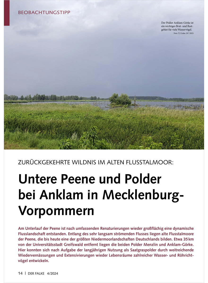 Auf diesem Bild sehen Sie das Produktbild 1 fr ZURCKGEKEHRTE WILDNIS UNTERE PEENE UND POLDER BEI ANKLAM IN MECKLENBURG-VORPOMMERN