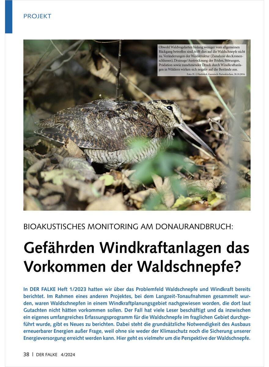 BIOAKUSTISCHES MONITORING GEF HREDEN WINDKRAFTANLAGEN DAS VORKOMMEN DER WALDSCHNEPFE