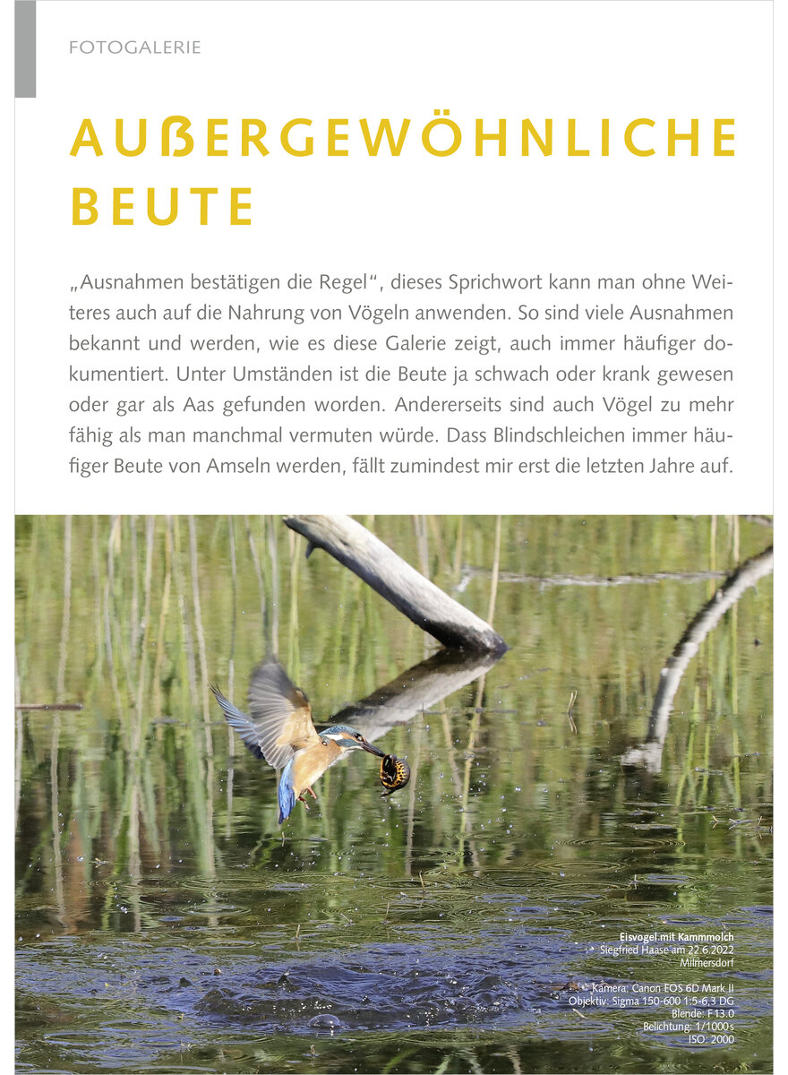 Auf diesem Bild sehen Sie das Produktbild 1 fr AUSSERGEWHNLICHE BEUTE