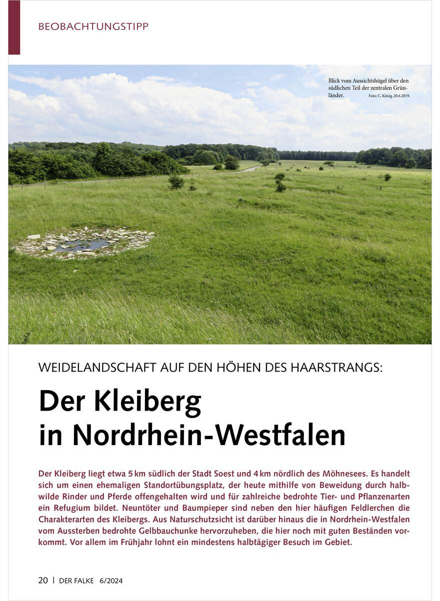 WEIDELANDSCHAFT AUF DEN HHEN DES HAARSTRANGS DER KLEIBERG IN NORDRHEIN-WESTFALEN