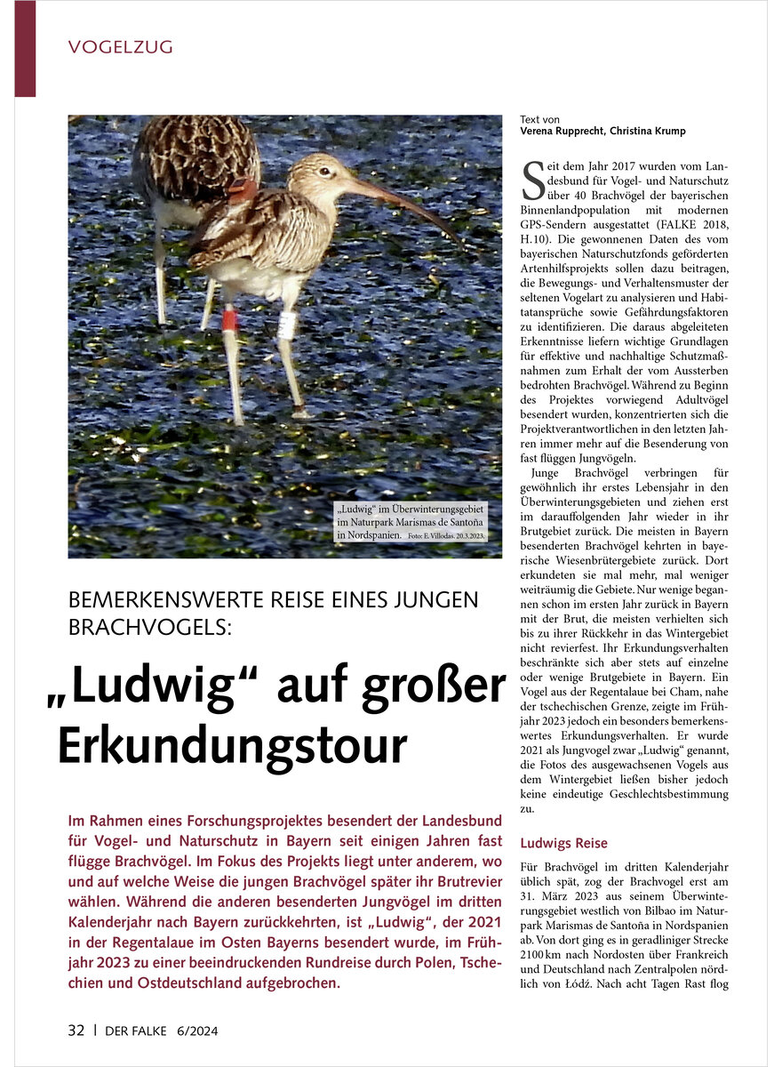 Auf diesem Bild sehen Sie das Produktbild 1 fr BEMERKENSWERTE REISE EINES JUN GEN BRACHVOGELS LUDWIG AUF GROSSER ERKUNDUNGSTOUR