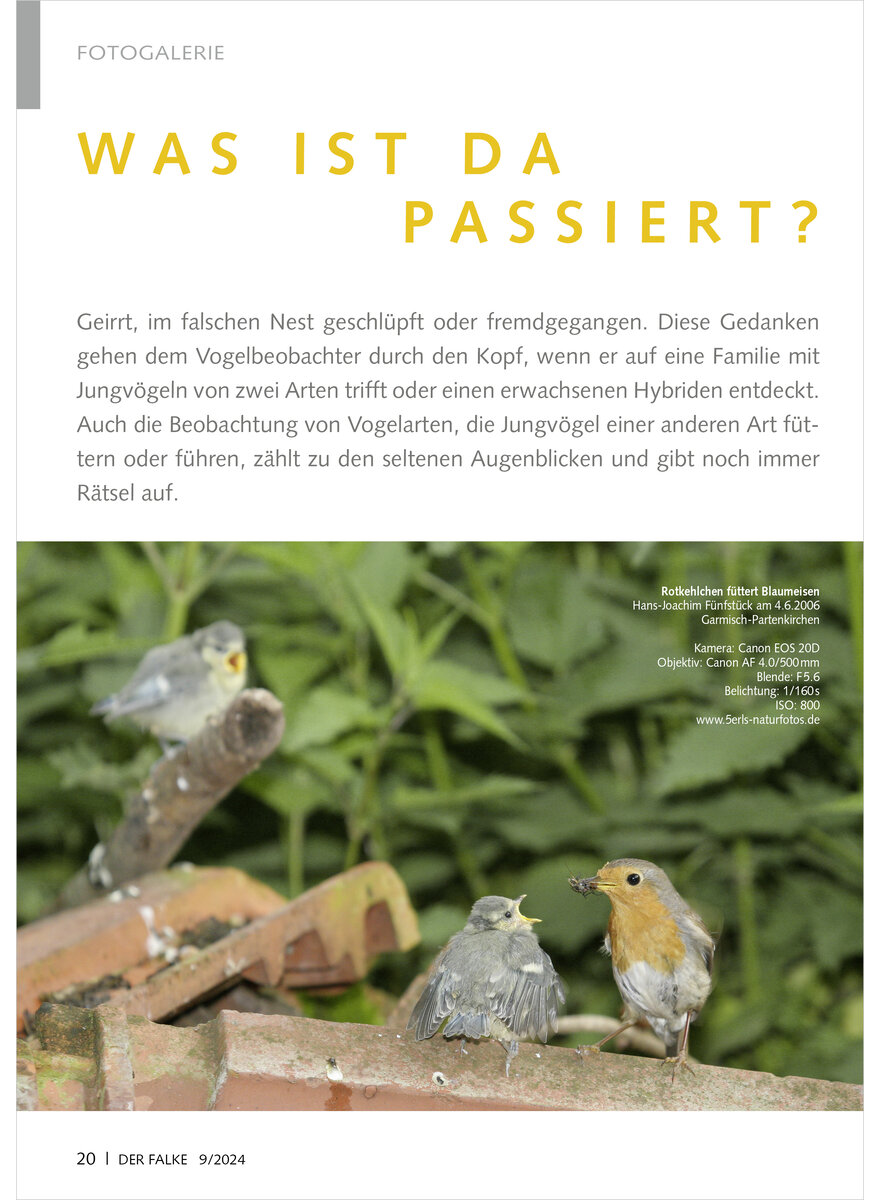Auf diesem Bild sehen Sie das Produktbild 1 fr FOTOGALERIE WAS IST DA PASSIER T