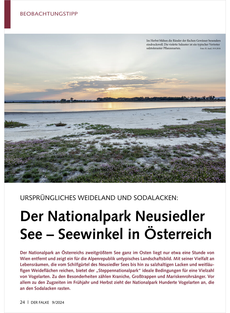 URSPRNGLICHES WEIDELAND UND SODALACKEN NATIONALPARK NEUSIE DLER SEE SEEWINKEL STERREICH