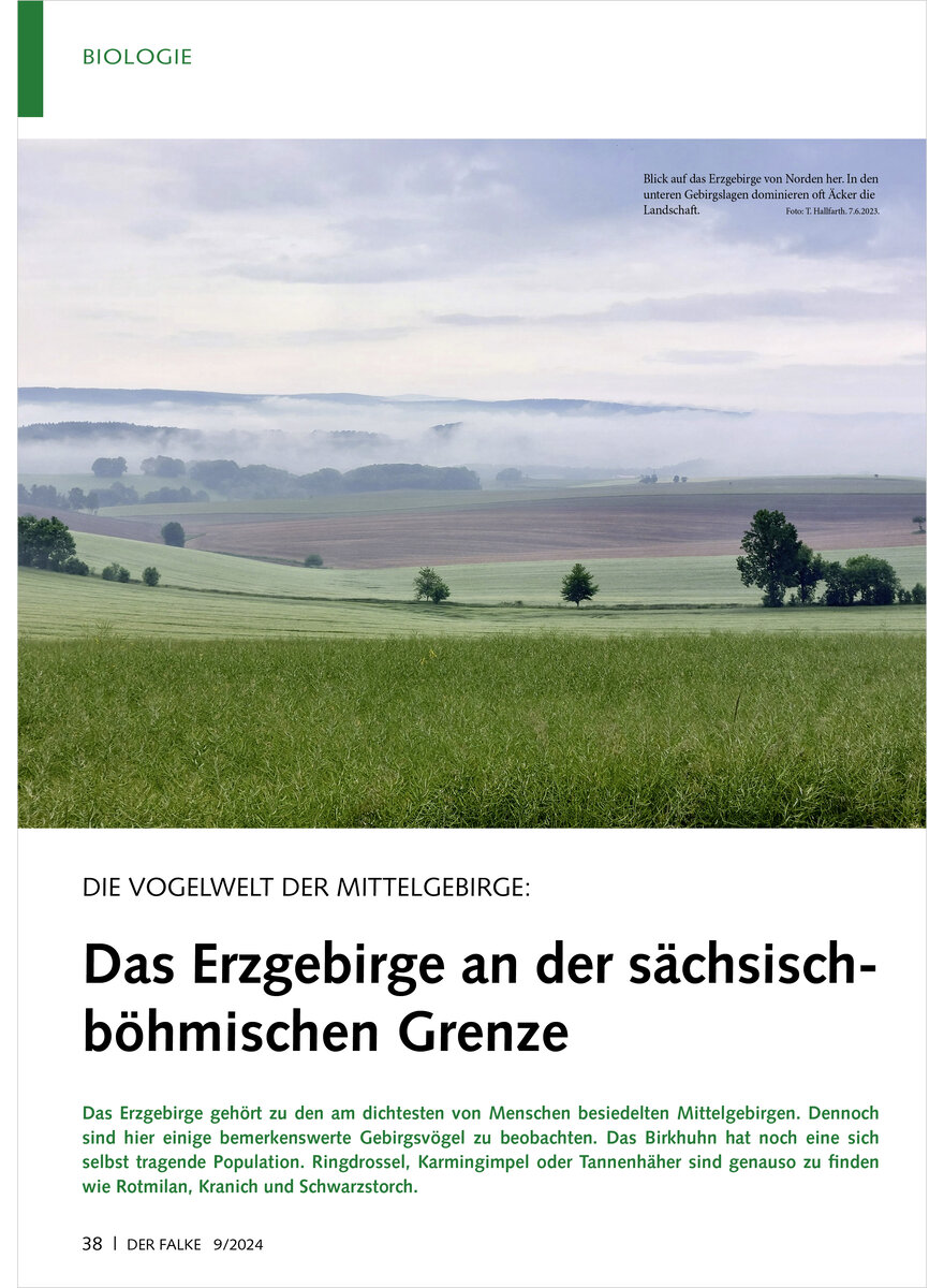 VOGELWELT DER MITTELGEBIRGE DAS ERZGEBIRGE AN DER SCHSISC H-BHMISCHEN GRENZE