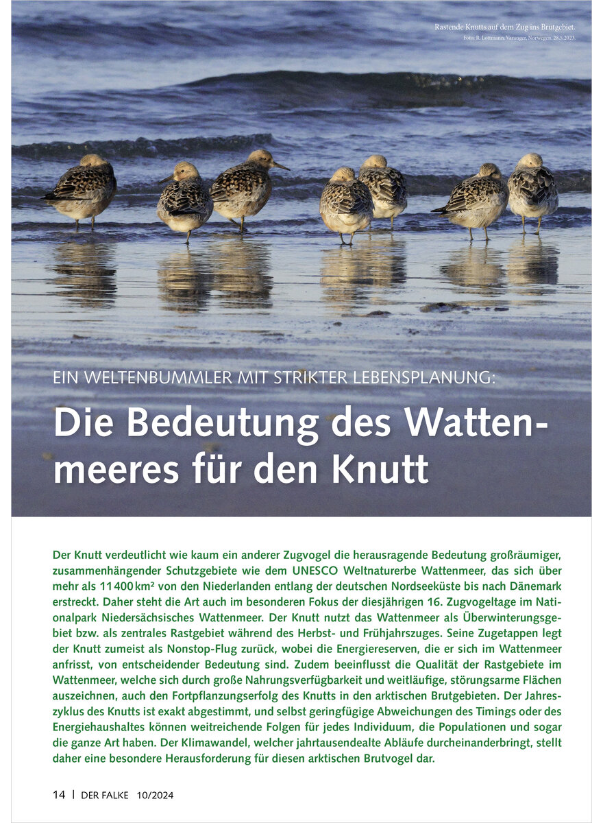 Auf diesem Bild sehen Sie das Produktbild 1 fr EIN WELTENBUMMLER MIT STRIKTER LEBENSPLANUNG DIE BEDEUTUNG DE S WATTENMEERES FR DEN KNUTT