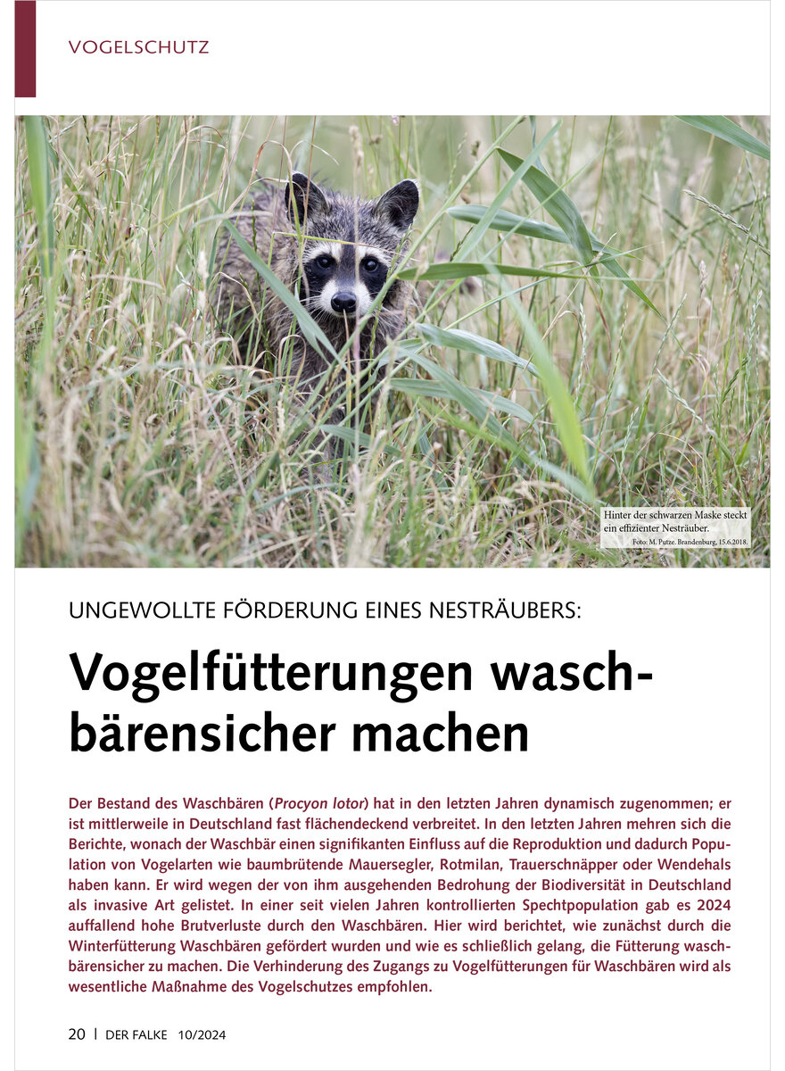 Auf diesem Bild sehen Sie das Produktbild 1 fr UNGEWOLLTE FRDERUNG EINES NESTRUBERS VOGELFTTERUNGEN WASCHBRENSICHER MACHEN