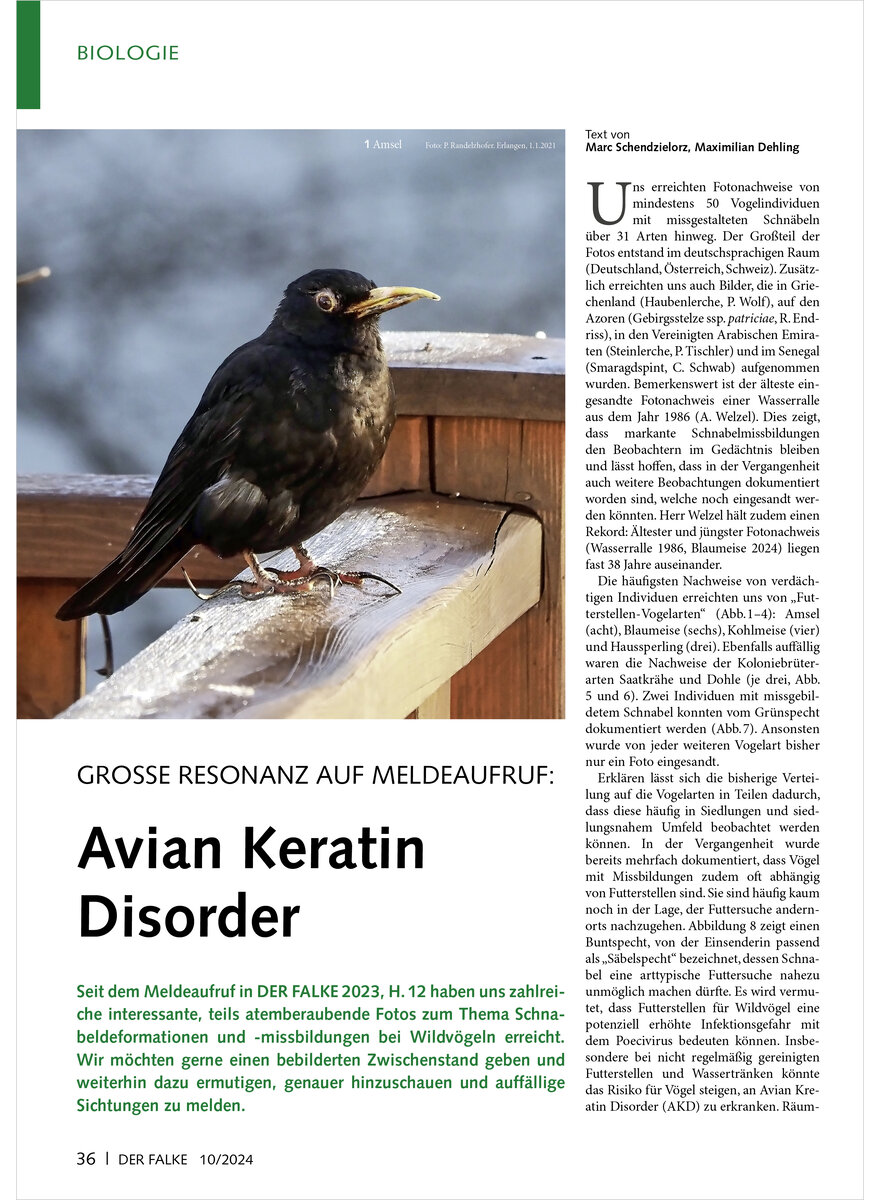 GROSSE RESONANZ AUF MELDEAUF
