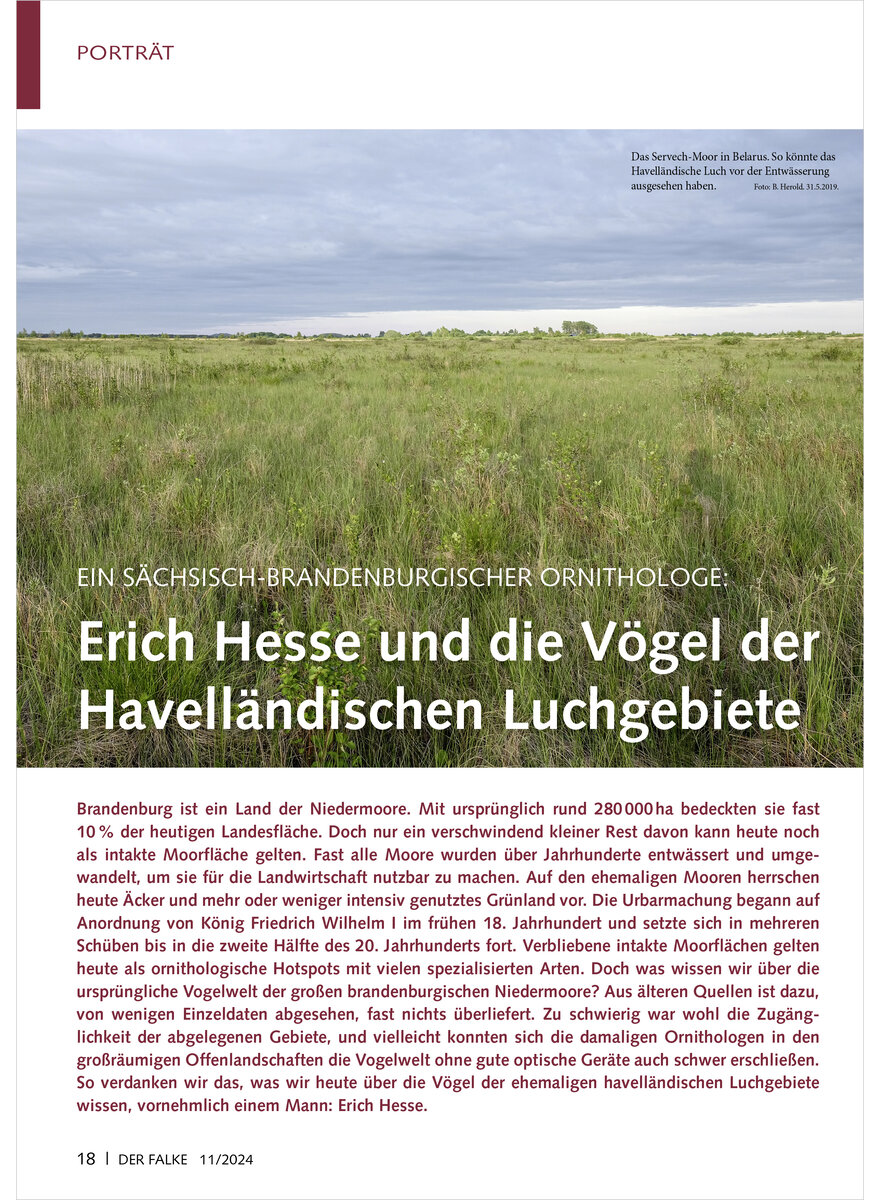 EIN SCHSISCH-BRANDENBURGISCHE ORNITHOLOGE ERICH HESSE VGEL DER HAVELLNDISCHEN LUCHGEBIET
