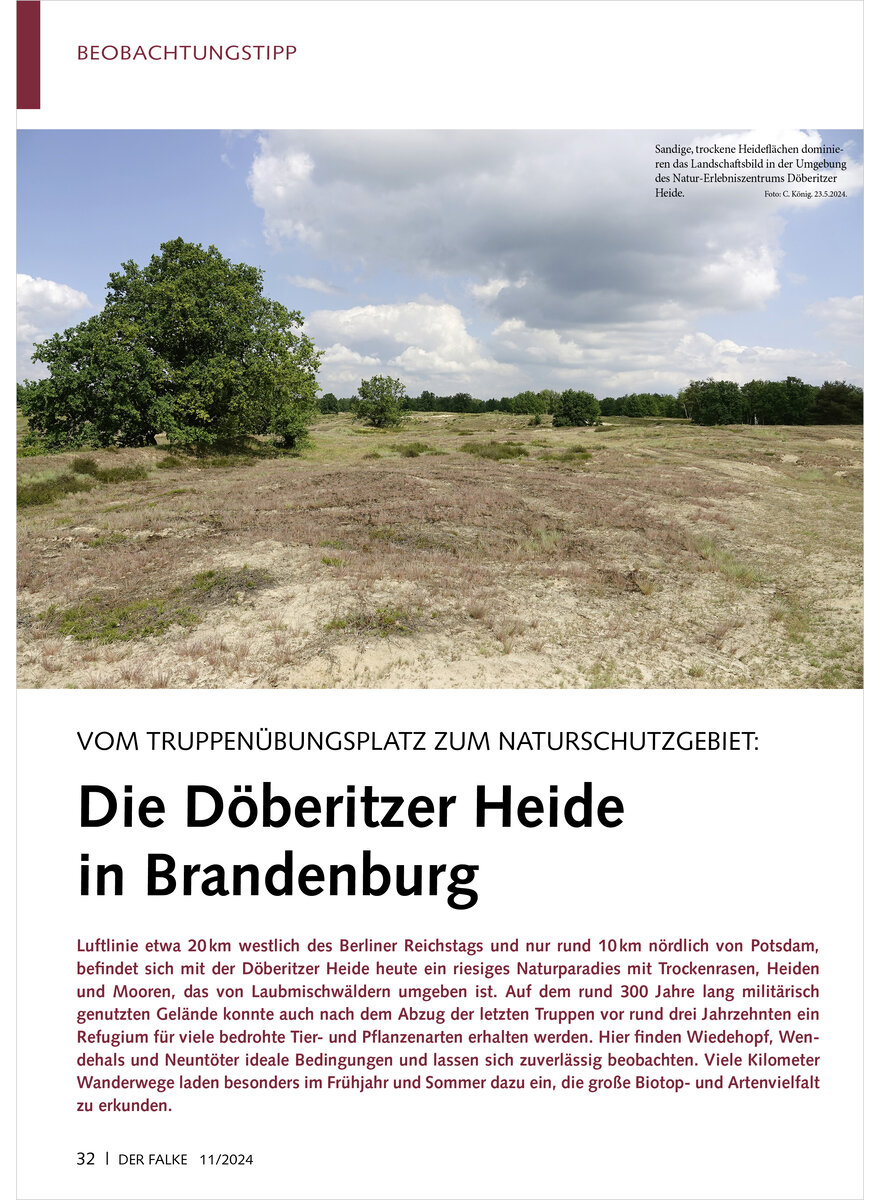 VOM TRUPPENBUNGSPLATZ ZUM NATURSCHUTZGEBIET DBERITZER