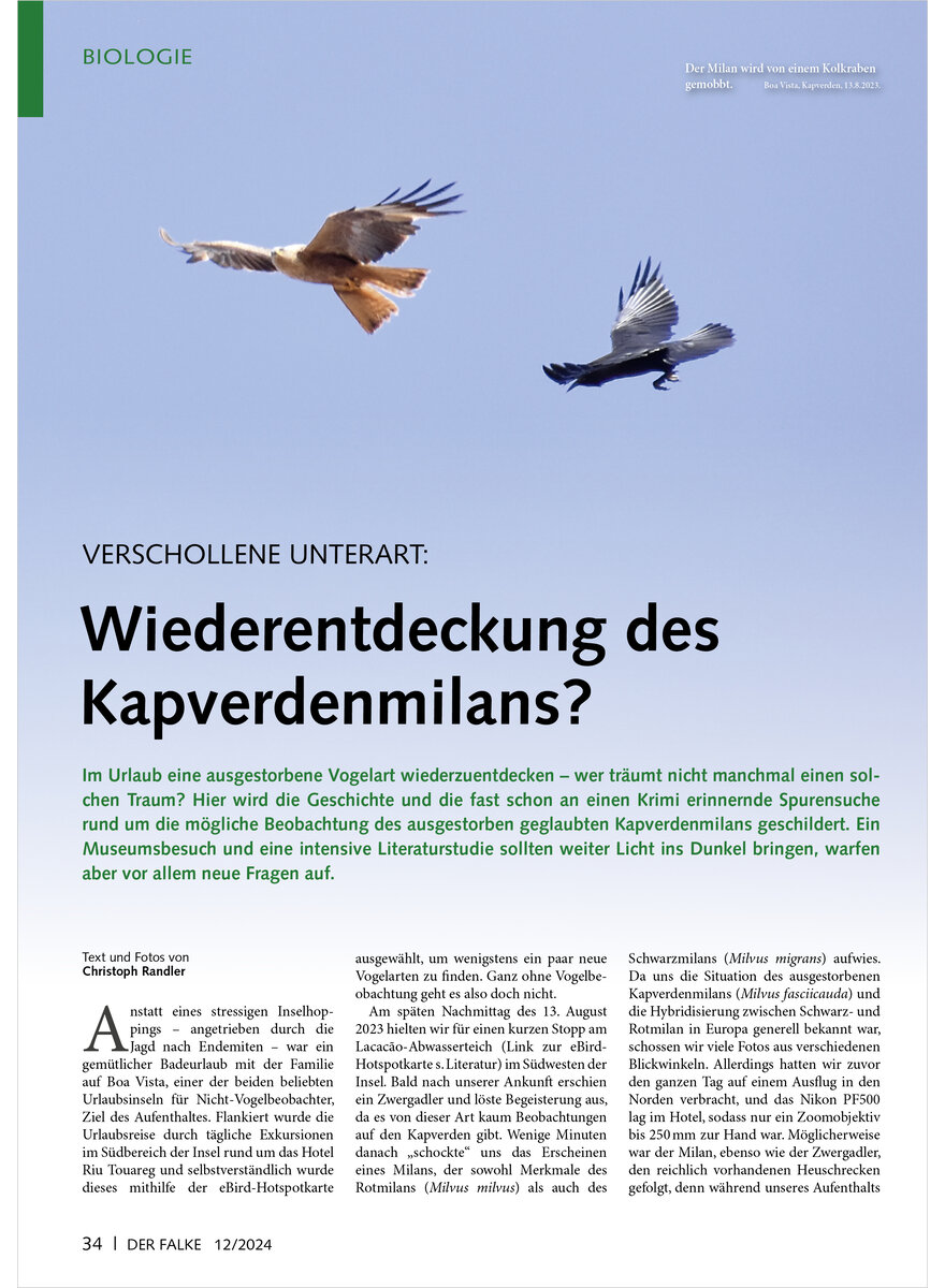 Auf diesem Bild sehen Sie das Produktbild 1 fr VERSCHOLLENE UNTERART WIEDER ENTDECKUNG DES KAPVERDENMILANS