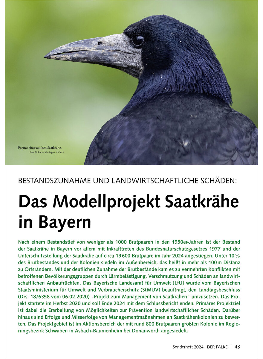 BESTANDSZUNAHME UND LANDWIRT SCHAFTLICHE SCHDEN DAS MODELL PROJEKT SAATKRHE IN BAYERN