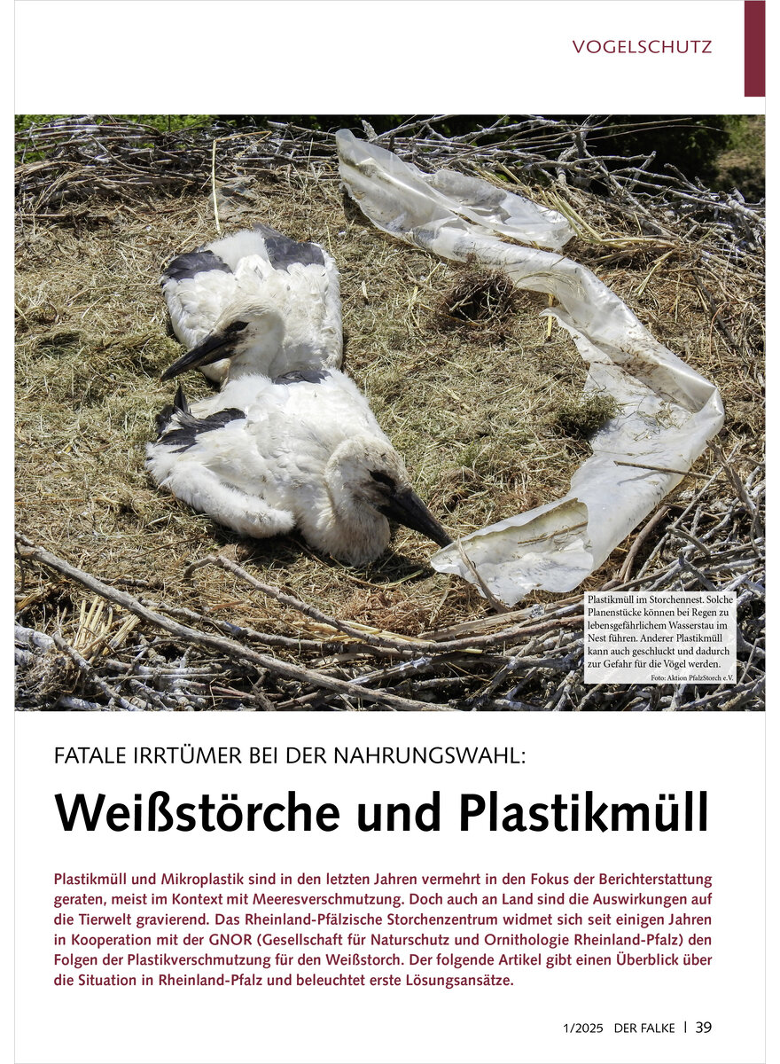 Auf diesem Bild sehen Sie das Produktbild 1 fr FATALE IRRTMER BEI DER NAHR UNGSWAHL WEISSSTRCHE UND PLASTIKMLL
