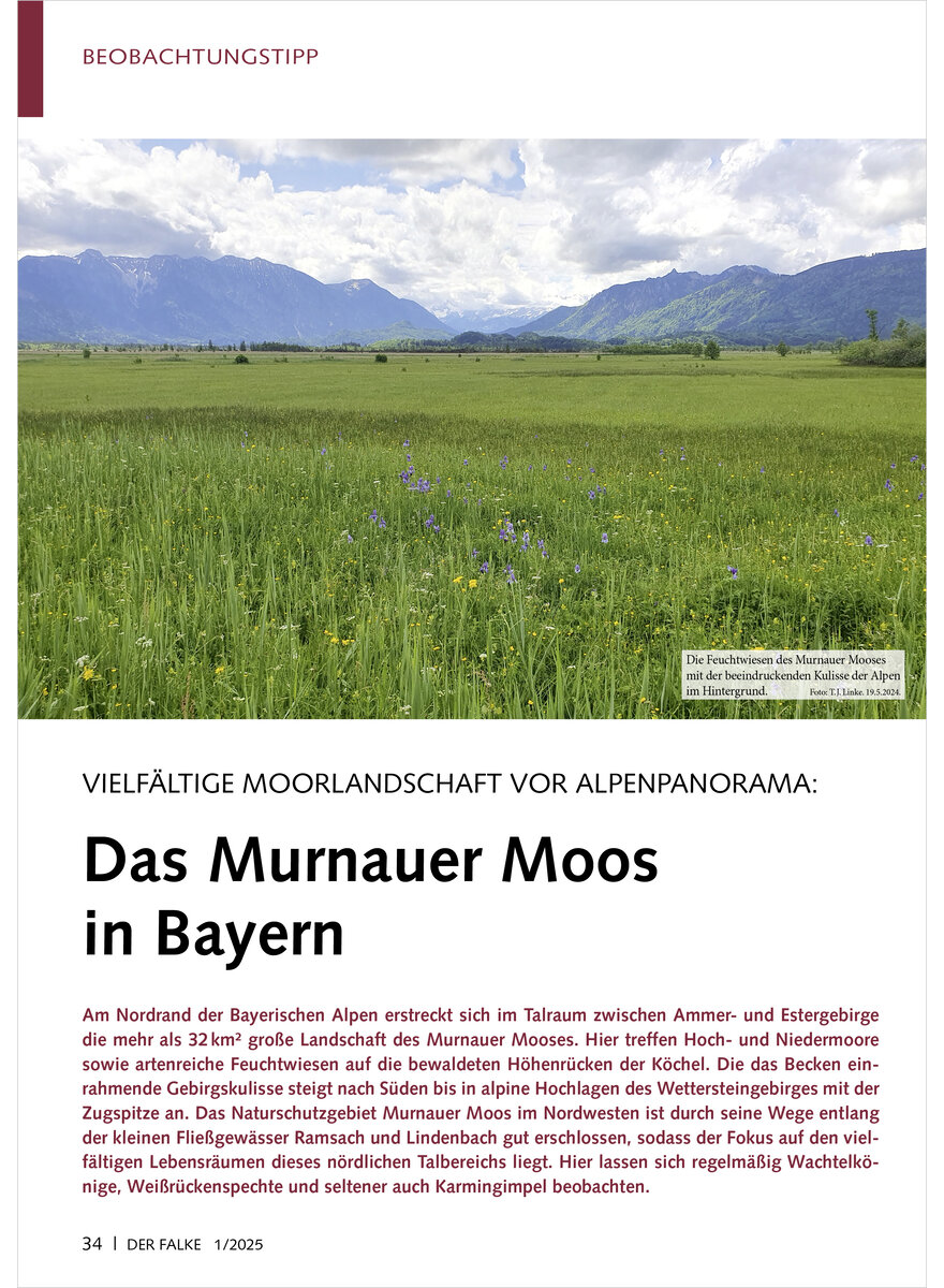 Auf diesem Bild sehen Sie das Produktbild 1 fr VIELFLTIGE MOORLANDSCHAFT VOR ALPENPANORAMA DAS MURNAUER MOOS IN BAYERN