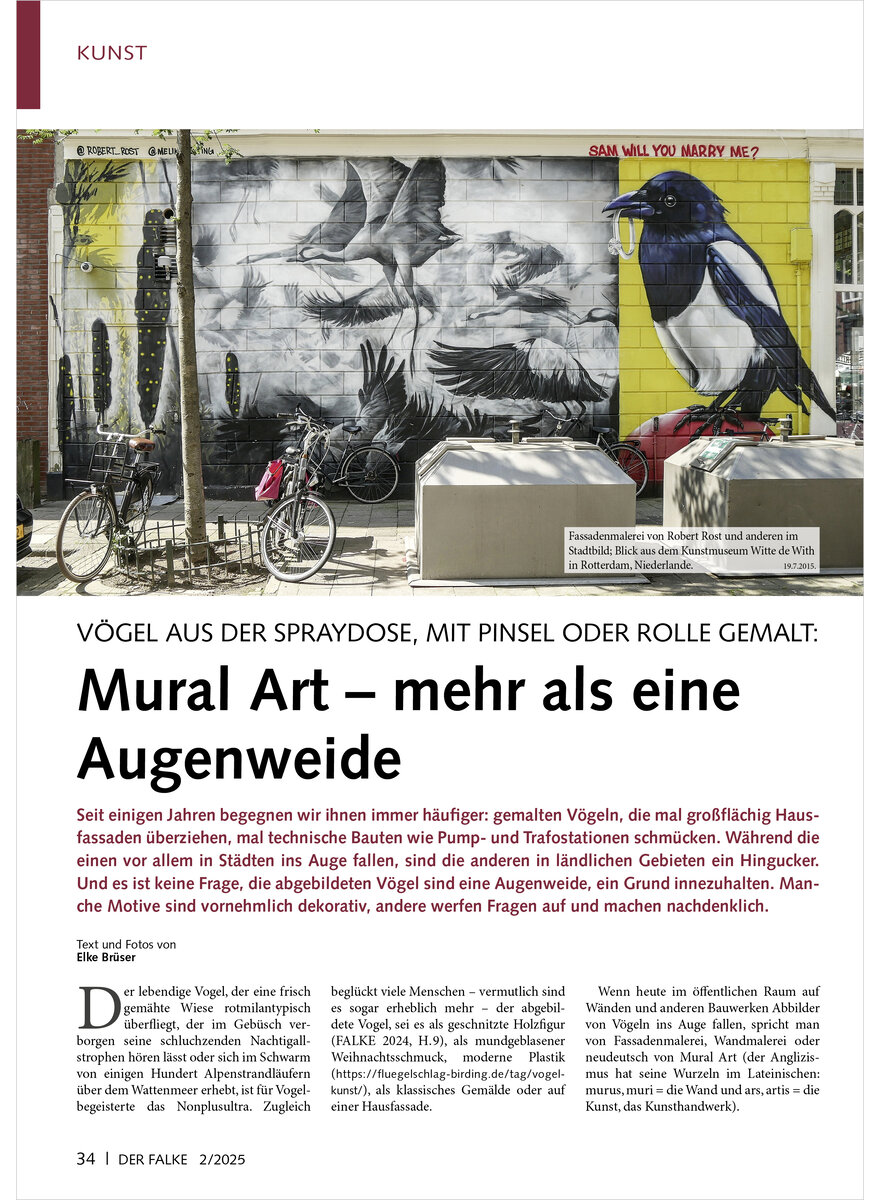 Auf diesem Bild sehen Sie das Produktbild 1 fr VGEL AUS DER SPRAYDOSE, MIT PINSEL ODER ROLLE GEMALT MURAL ART - MEHR ALS EINE AUGENWEIDE