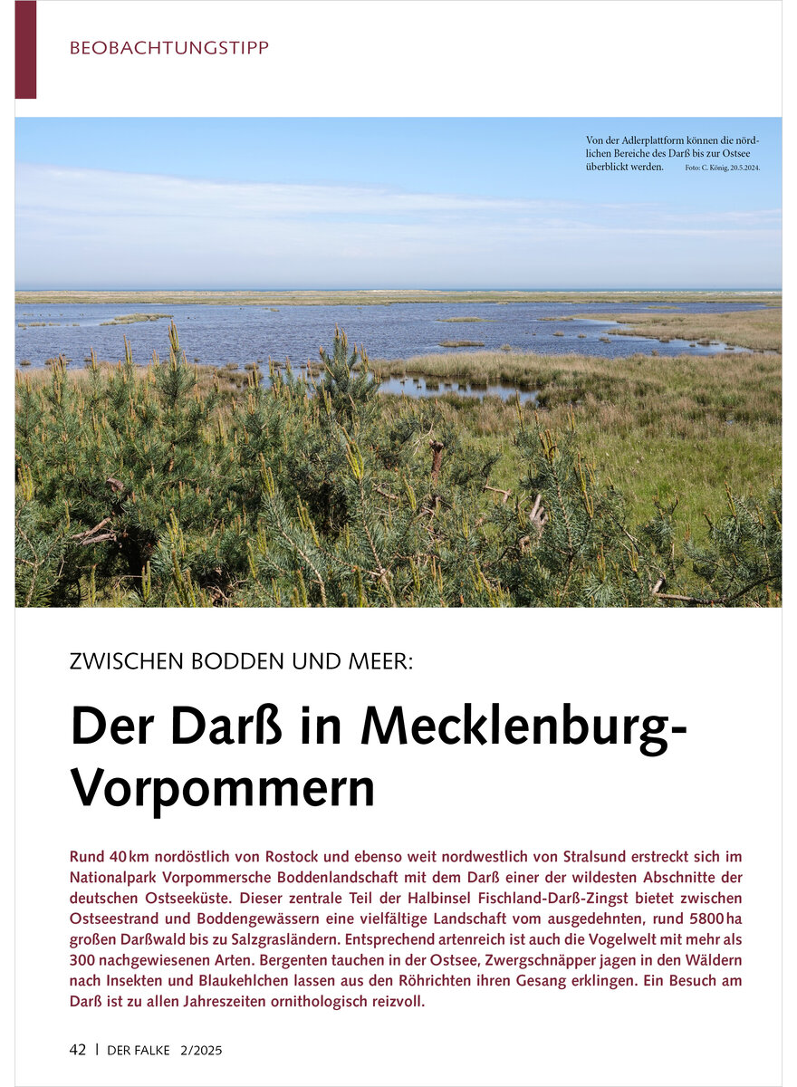 Auf diesem Bild sehen Sie das Produktbild 1 fr ZWISCHEN BODDEN UND MEER DER DARSS IN MECKLENBURG- VORPOMMERN