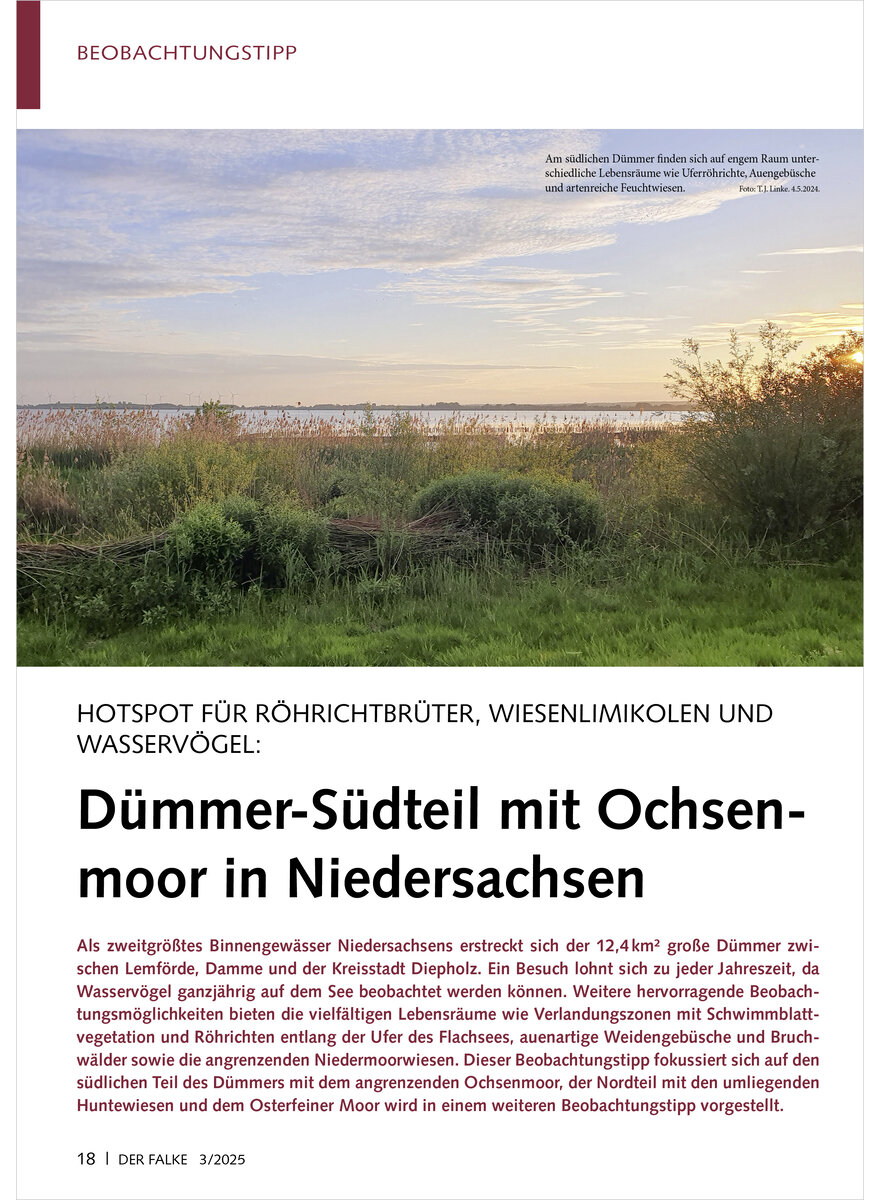HOTSPOT FR RHRICHTBRTER DMMER-SDTEIL MIT OCHSENMOOR IN NIEDERSACHSEN