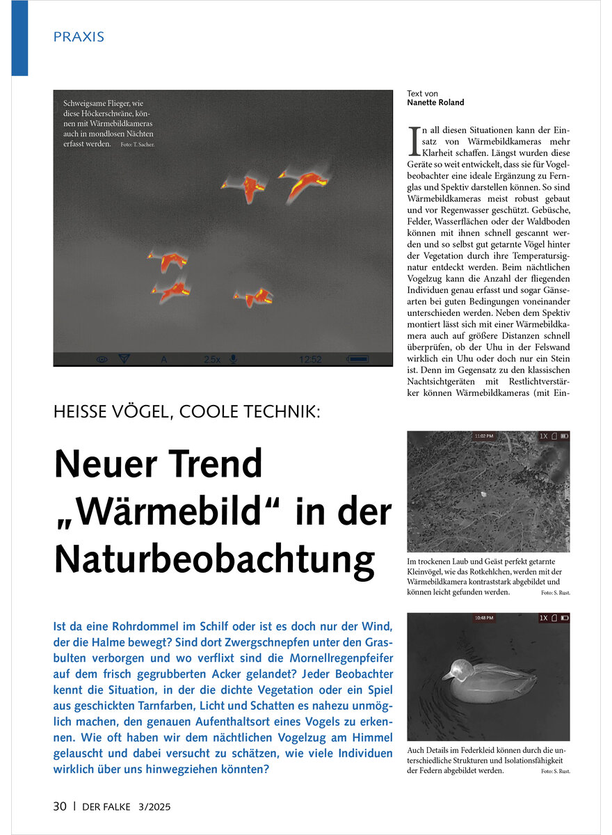 HEISSE VGEL, COOLE TECHNIK NEUER TREND WRMEBILD IN DER NATURBEOBACHTUNG