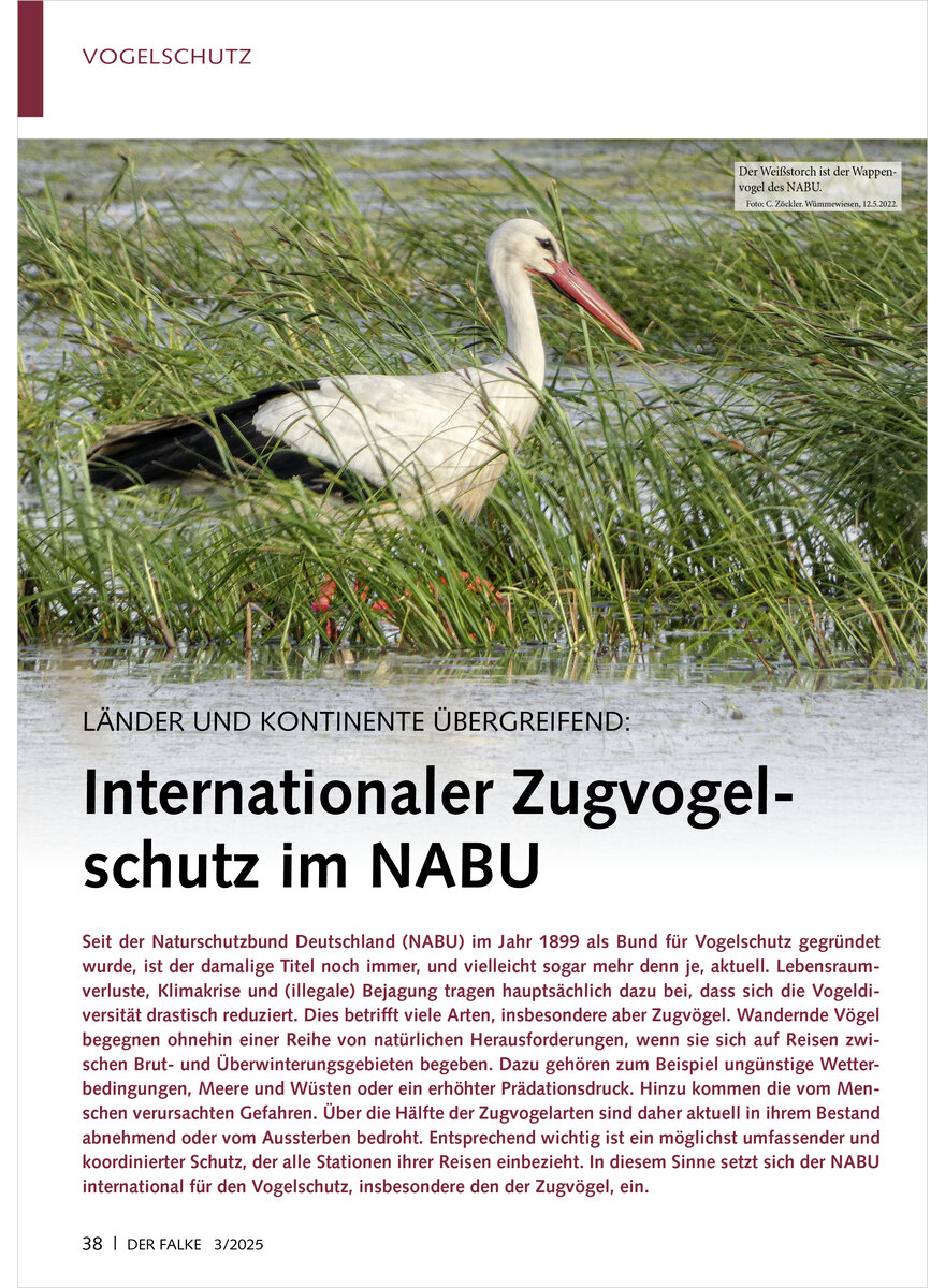 LNDER UND KONTINENTE BERGREI FEND INTERNATIONALER ZUGVOGEL SCHUTZ IM NABU