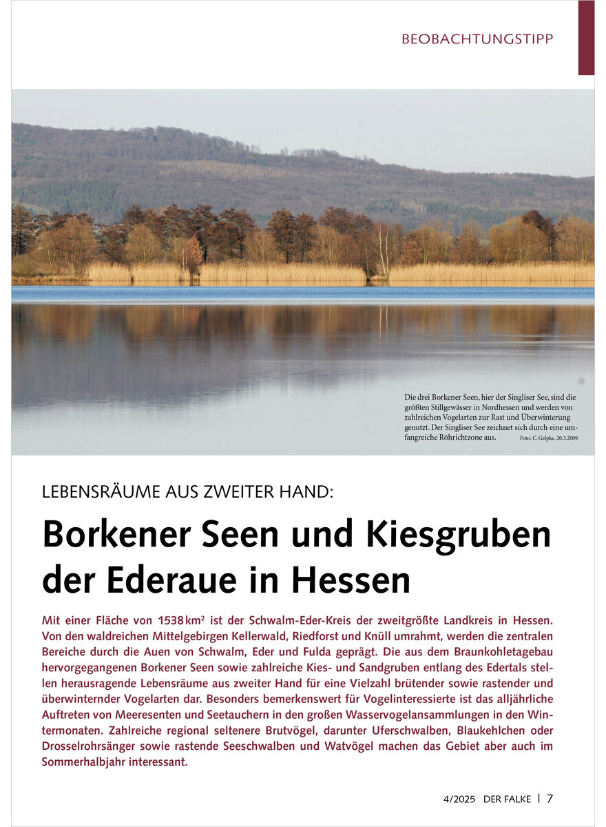 Auf diesem Bild sehen Sie das Produktbild 1 fr LEBENSRUME AUS ZWEITER HAND BORKENER SEEN UND KIESGRUBEN DER EDERAUE IN HESSEN