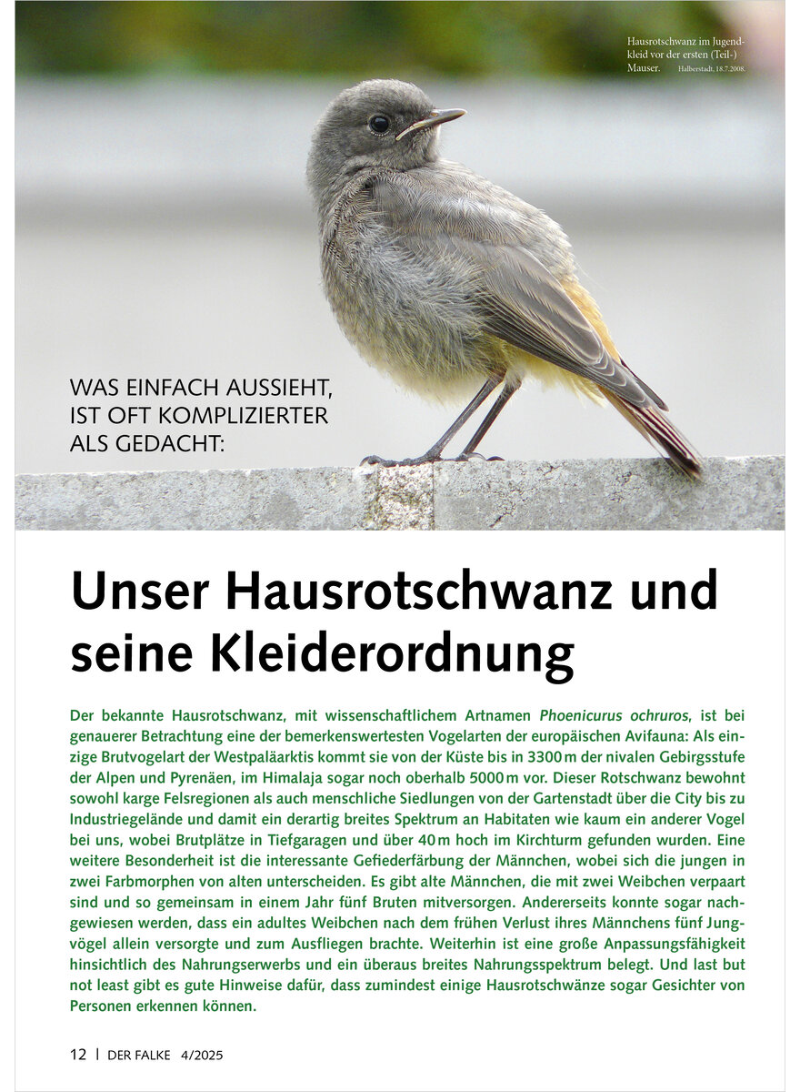 UNSER HAUSROTSCHWANZ UND SEINE KLEIDERORDNUNG