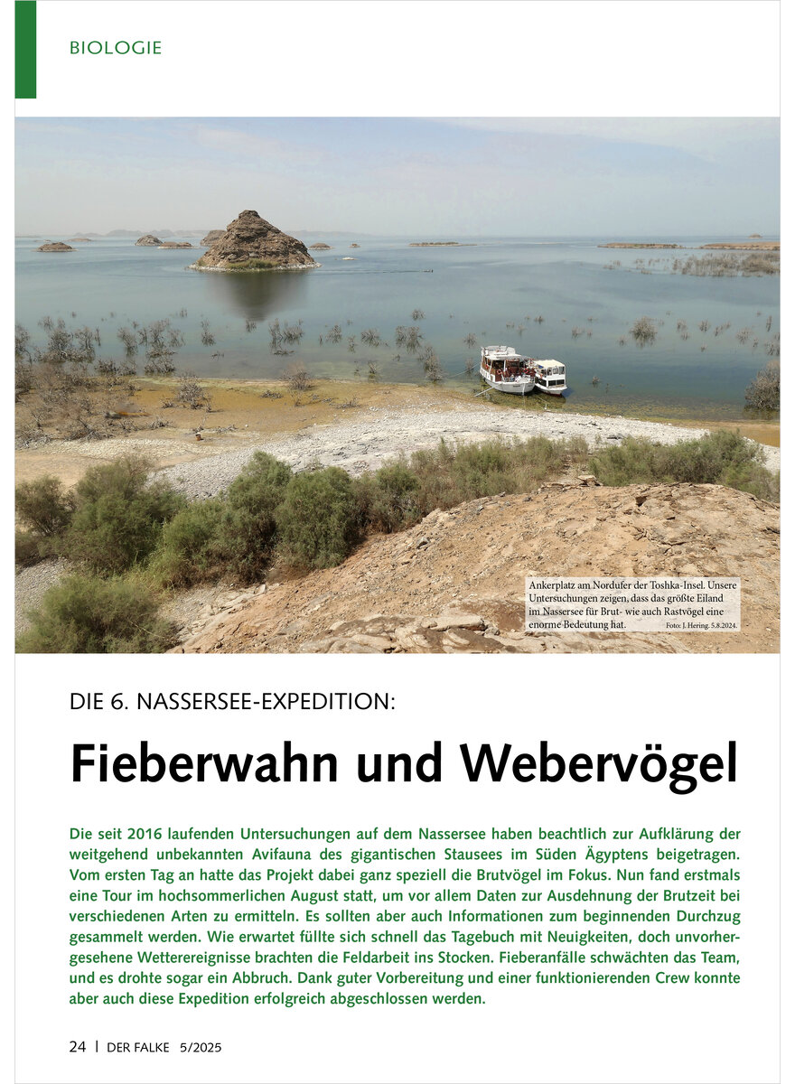 Dieses Bild zeigt das Bild 1 zu Artikelnummer FA250504
