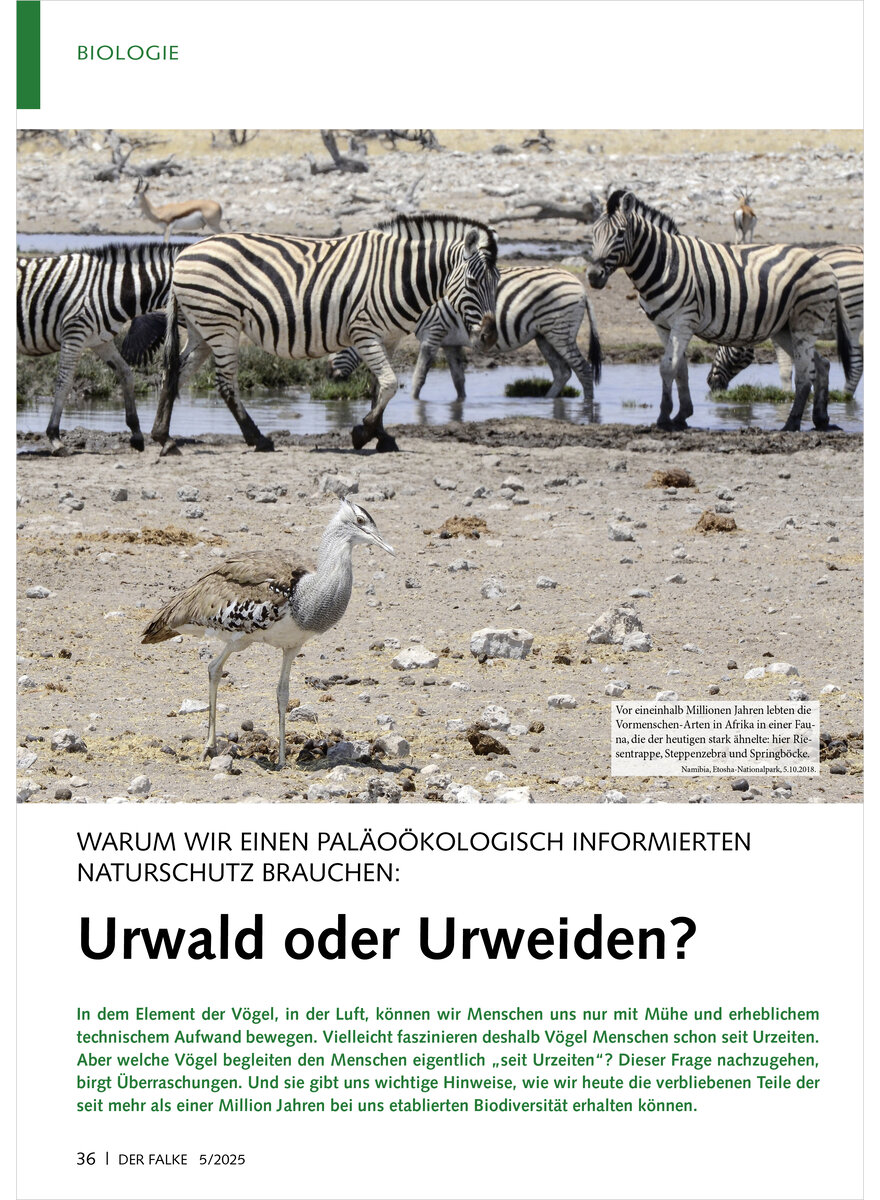 Dieses Bild zeigt das Bild 1 zu Artikelnummer FA250506