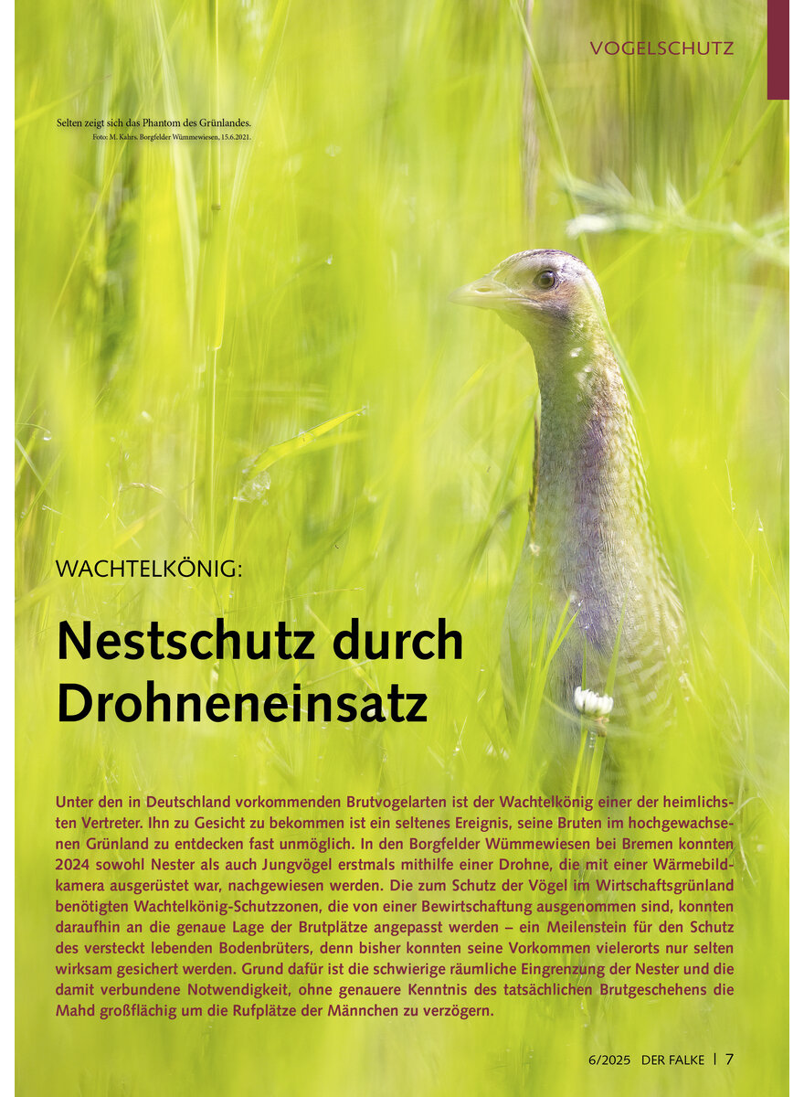 Auf diesem Bild sehen Sie das Produktbild 1 fr WACHTELKNIG NESTSCHUTZ DURCH DROHNENEINSATZ