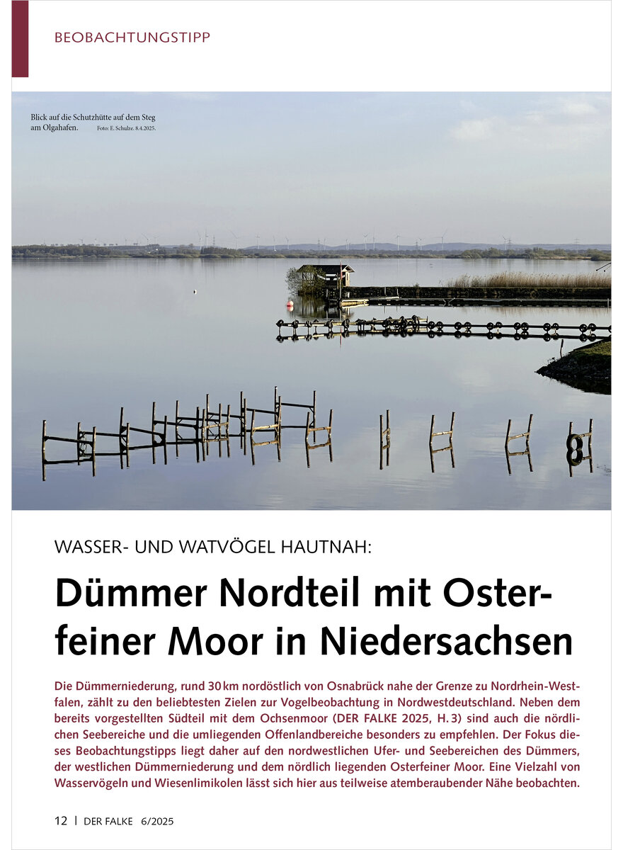 Auf diesem Bild sehen Sie das Produktbild 1 fr WASSER- UND WATVGEL HAUTNAH DMMER NORDTEIL MIT OSTER FEINER MOOR IN NIEDERSACHSEN