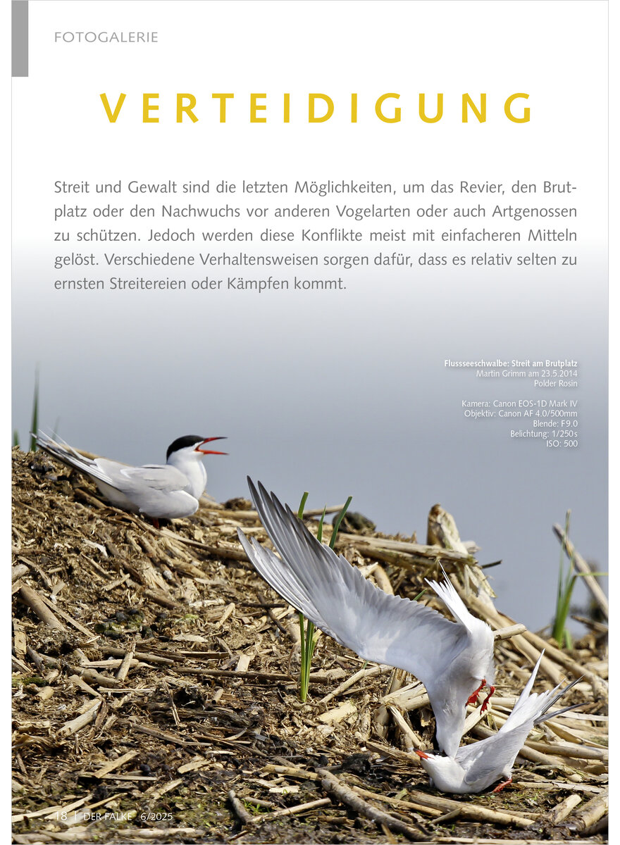 Auf diesem Bild sehen Sie das Produktbild 1 fr FOTOGALERIE VERTEIDIGUNG