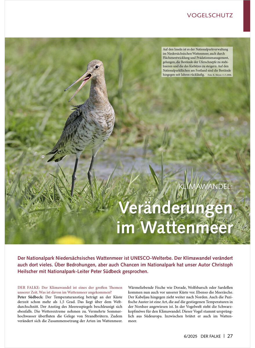 Auf diesem Bild sehen Sie das Produktbild 1 fr KLIMAWANDEL VERNDERUNGEN IM WATTENMEER