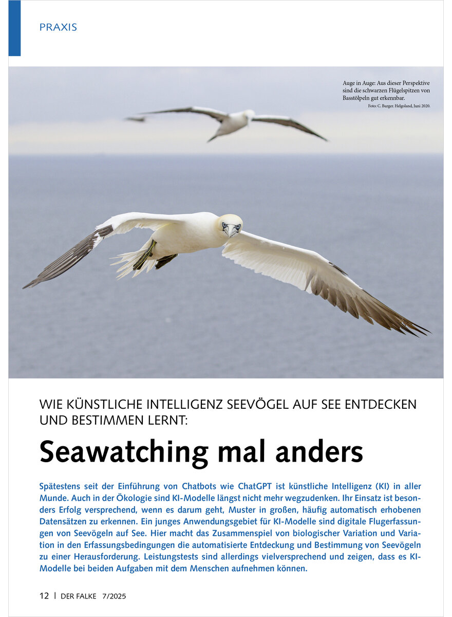 Auf diesem Bild sehen Sie das Produktbild 1 fr WIE KNSTLICHE INTELLIGENZ SEE VGEL ENTDECKEN UND BESTIMMEN LERNT SEAWATCHING MAL ANDERS