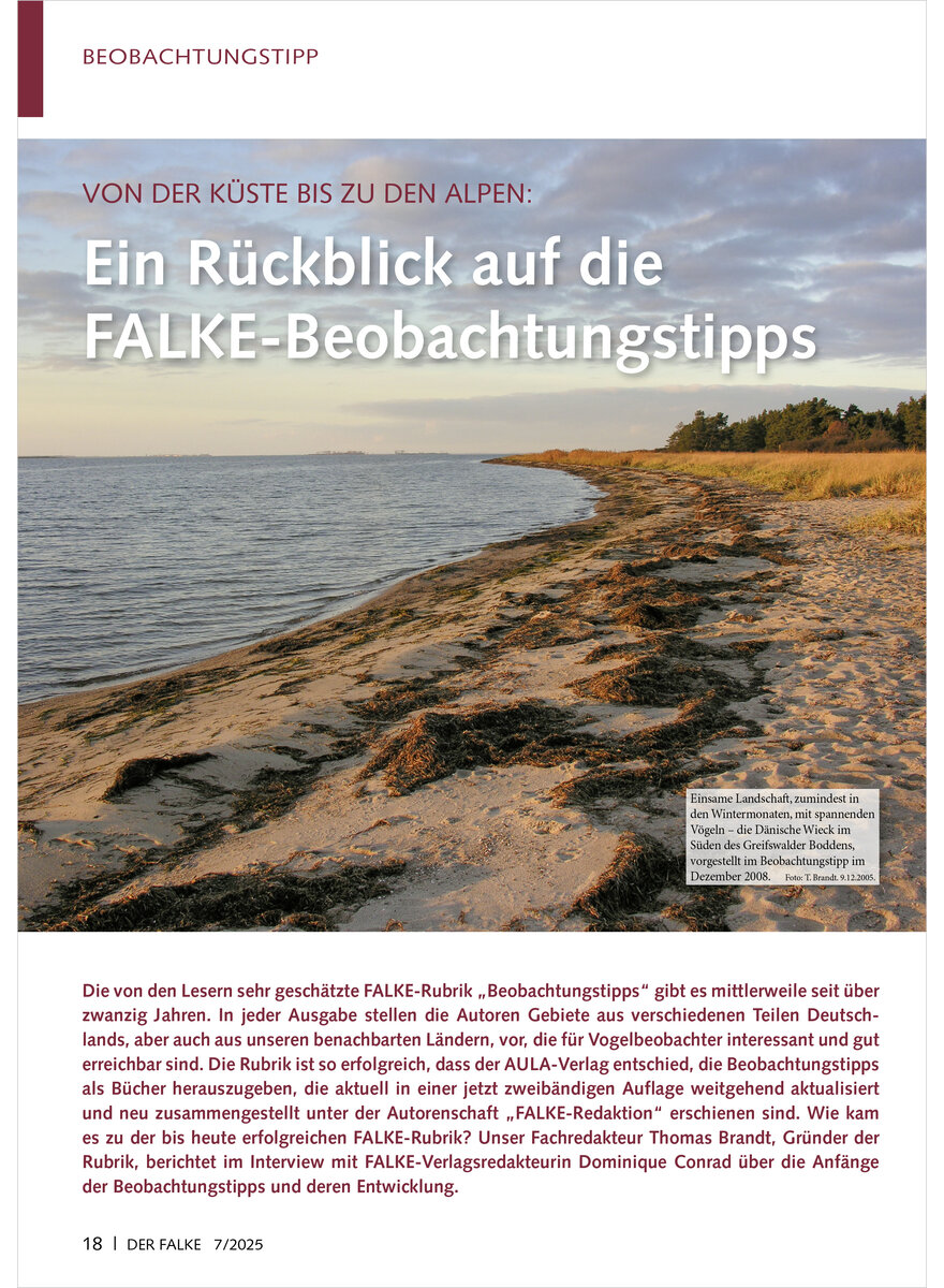 Auf diesem Bild sehen Sie das Produktbild 1 fr VON DER KSTE BIS ZU DEN ALPEN EIN RCKBLICK AUF DIE FALKE- BEOBACHTUMNGSTIPPS